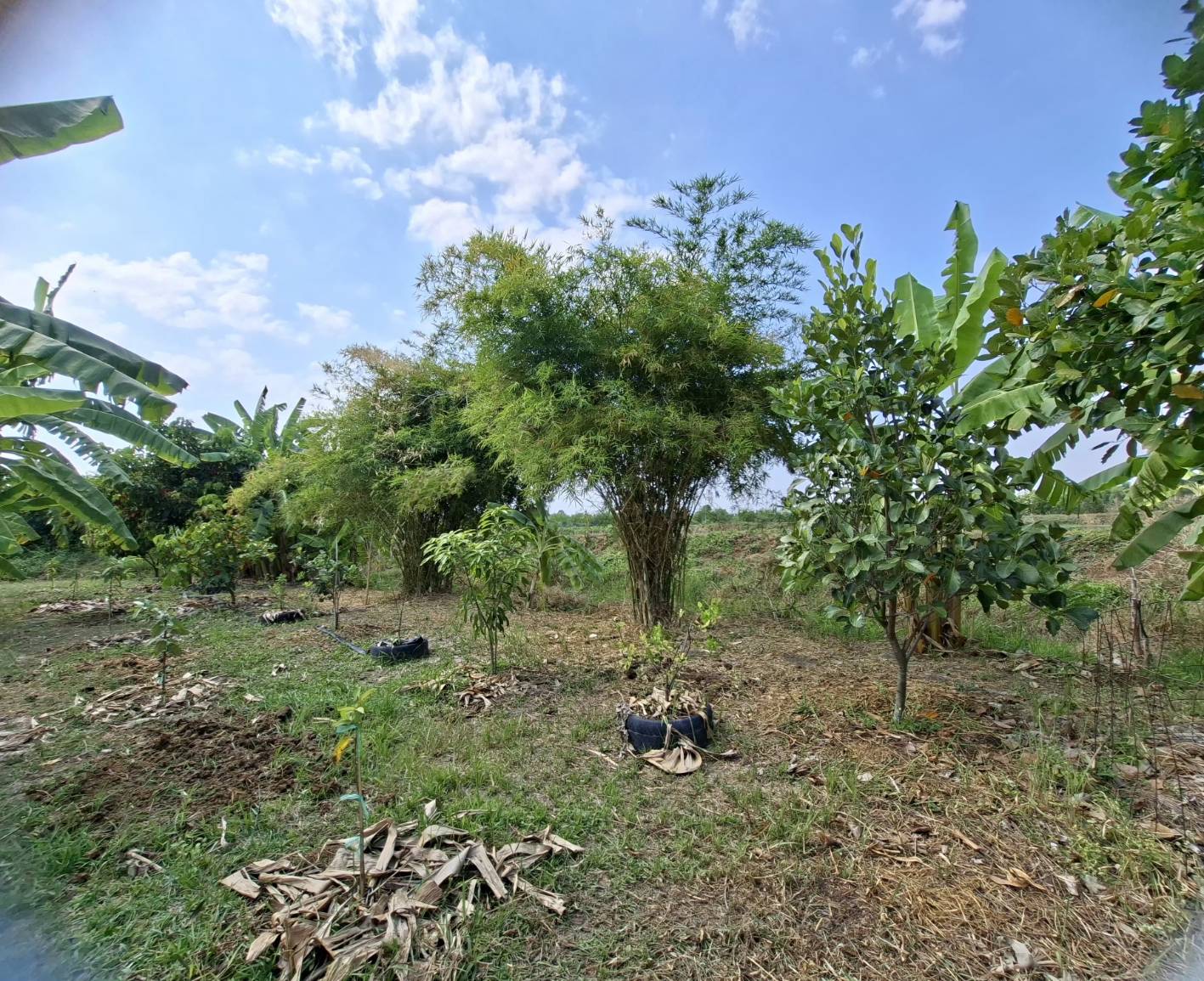 title - ผู้ตรวจราชการ ส.ป.ก. ประชุมตรวจราชการและติดตามความก้าวหน้าผลการดำเนินงานตามแผนการตรวจราชการของผู้ตรวจราชการสำนักงานการปฏิรูปที่ดินเพื่อเกษตรกรรม ประจำปีงบประมาณ พ.ศ. 2569 รอบที่ 1 เขตตรวจราชการที่ 9 จังหวัดนครนายก